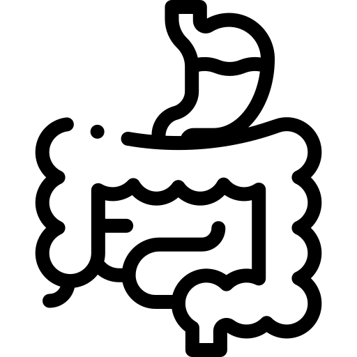 Estomac